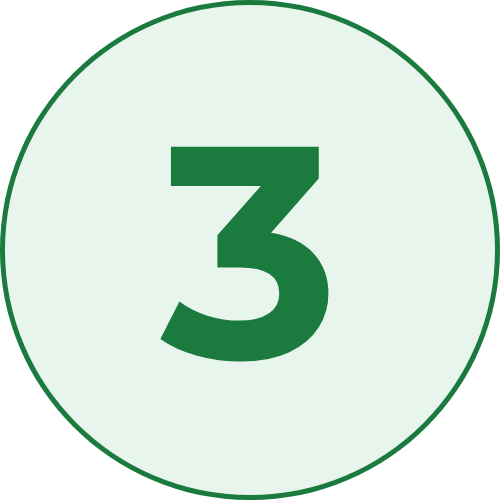 Number 3 Icon