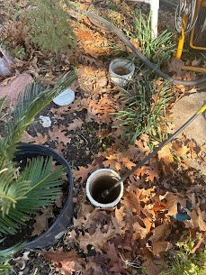 Canyon Creek sewer pipe checking