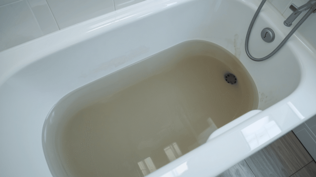 sewage-backing-up-into-bathtub