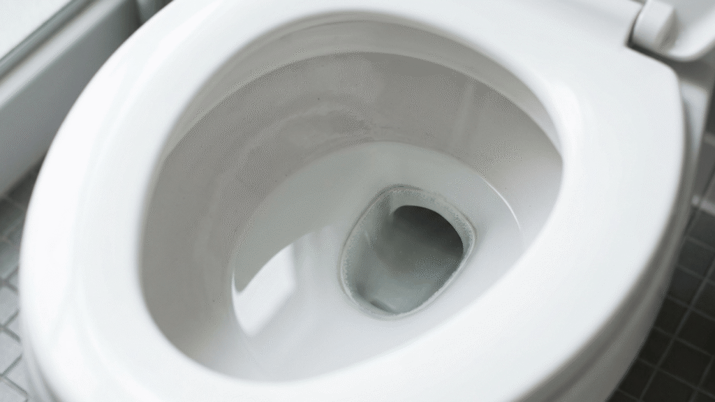 toilet not flushing all the way